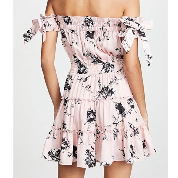 NWT Misa Los Angeles Laiyin Floral Mini Dress - Picture 2 of 15